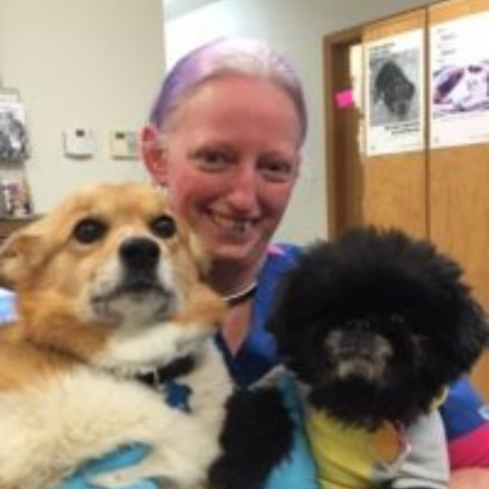 Veterinarian In Chewelah, WA 99109 Chewelah Veterinary Clinic