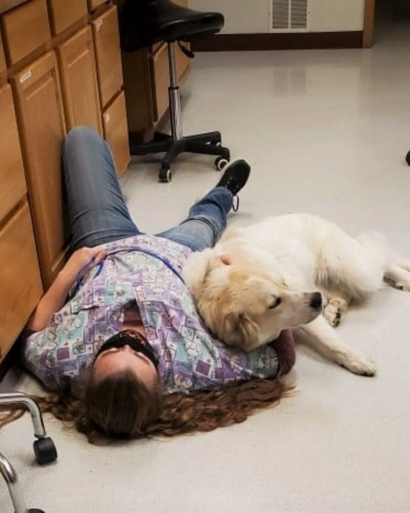 Dog lies on floor with someone