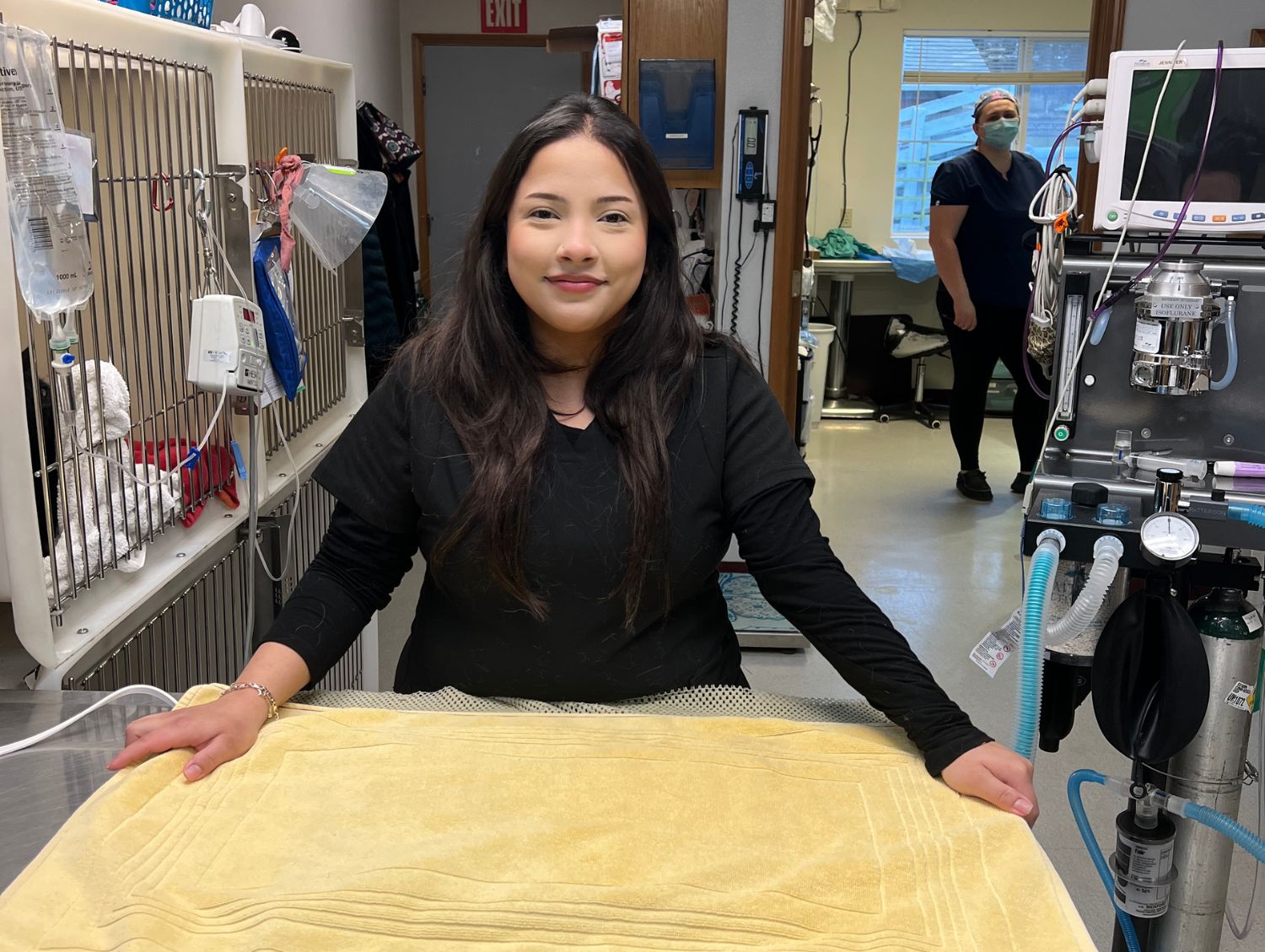 vet staff in a room with boarding compartments