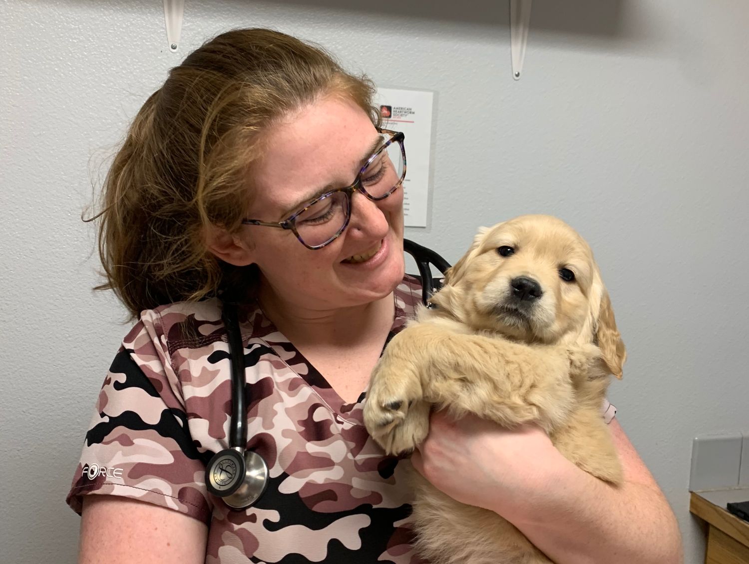 vet holding black dog