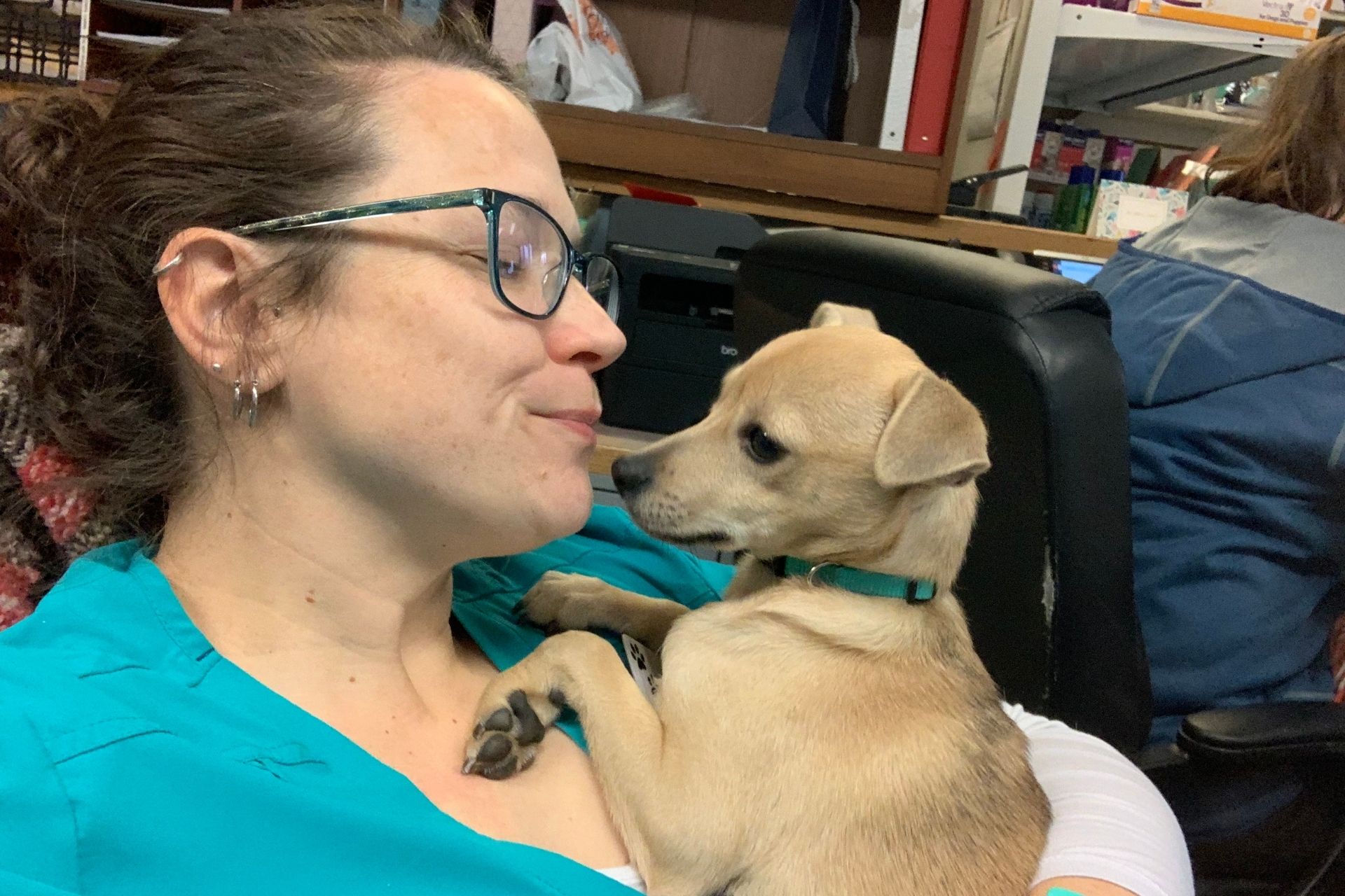 vet staff holding a dog