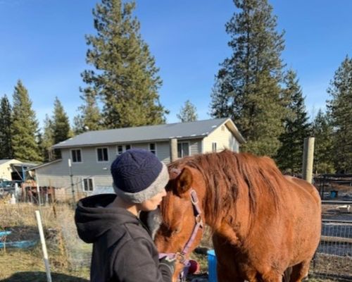 A big happy dog with a vet